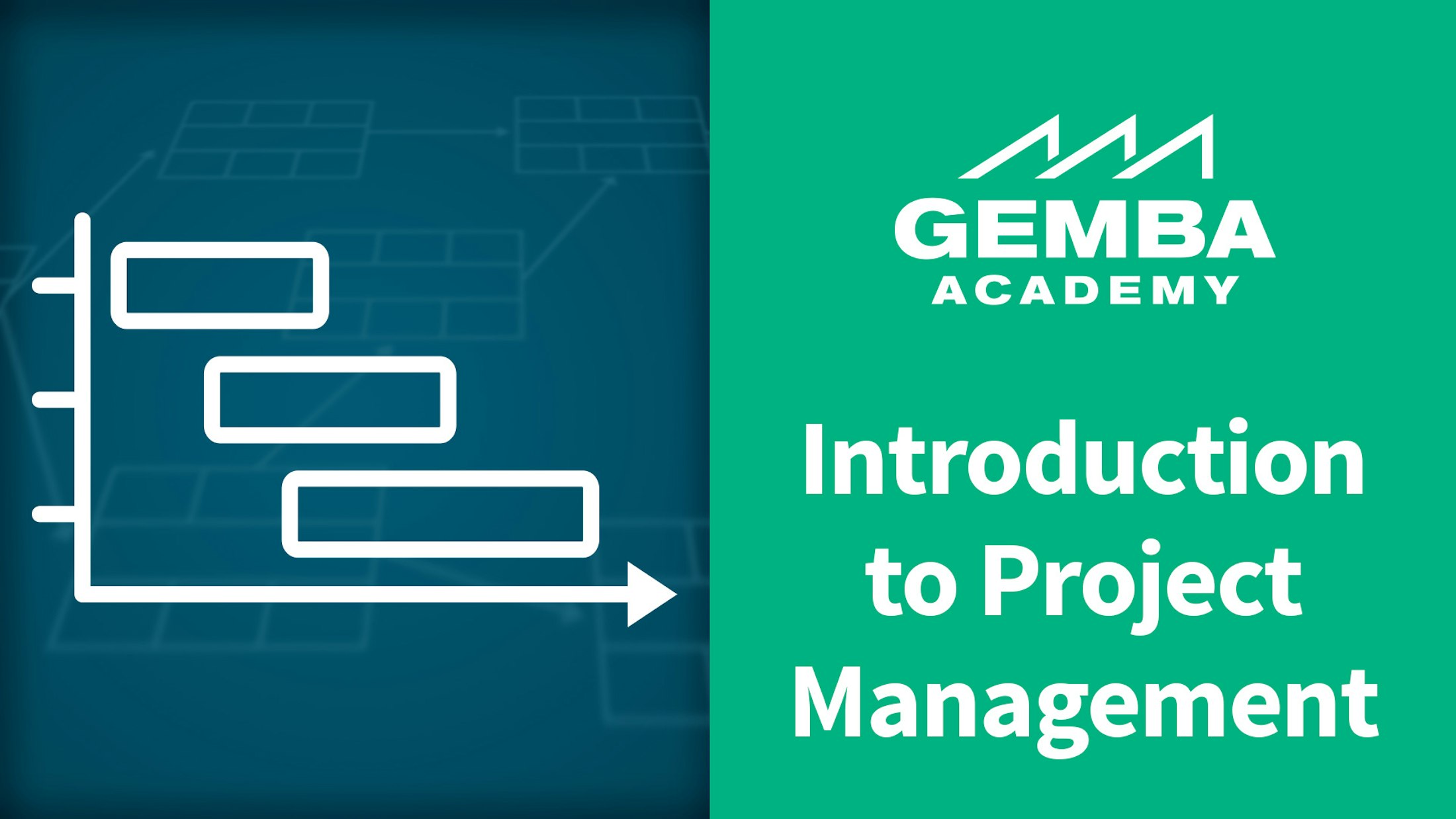 Introduction to project management new video