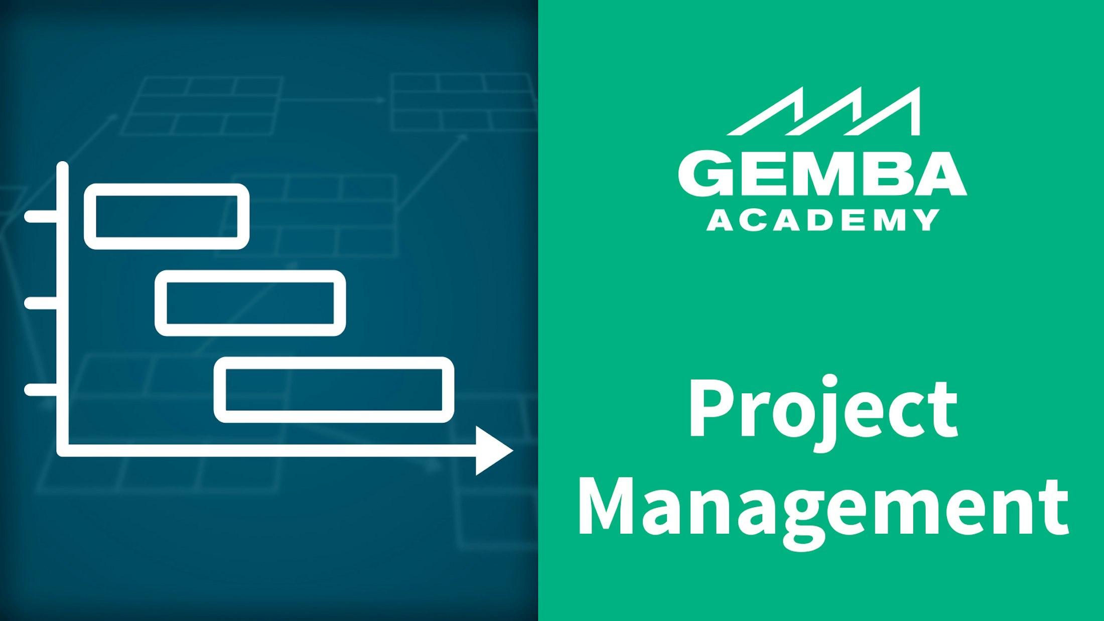 Project management new video